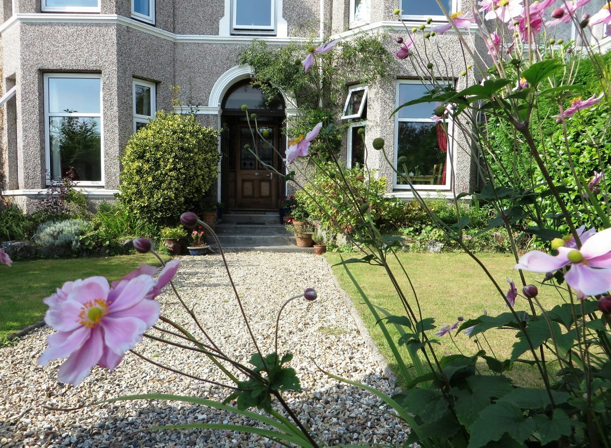 The Rosemont Hotel Yelverton Exterior photo